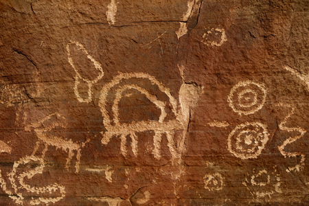 Ancient petroglyphs of tortoise in Gold Butte area, Nevadaの写真素材