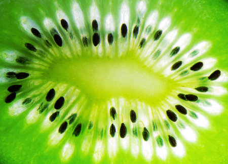 close up of kiwi fruit on a white backgroungの写真素材