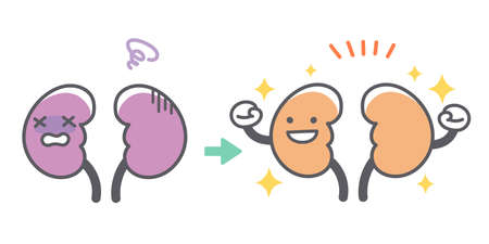 Before after recovering from human kidney diseaseのイラスト素材