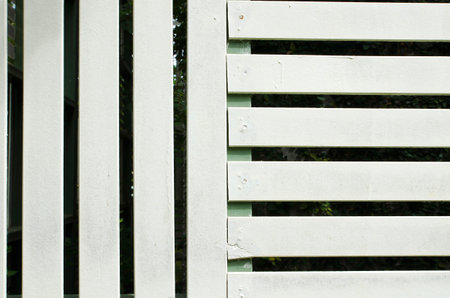 Batten of white wood for background.