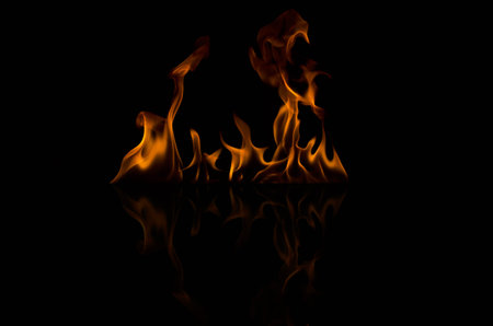 Fire flames on a black background