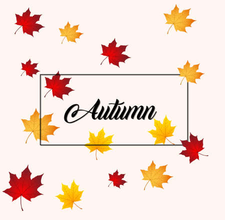 Autumn background layout decorate with leaves. Vector Illustration.のイラスト素材