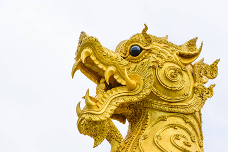 The close up of ancient golden Lion 's head statue on white backgroundの写真素材