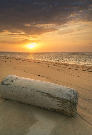 soft focus Timber and sand on the beachの写真素材