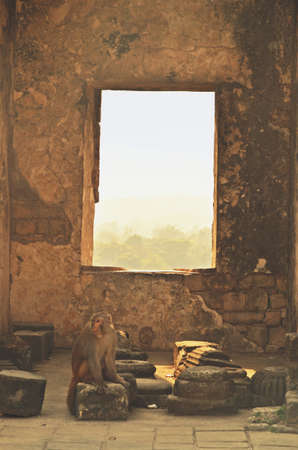 remians of kangra fort dharamshala himachal pradeshの写真素材