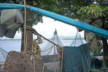 Fishing nets hanging on a tree in the middle of the seaの写真素材