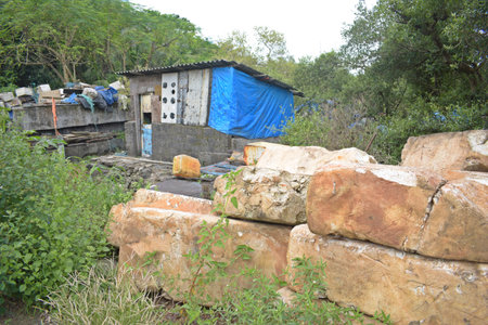 A small house with a blue tarpaulin roof in a rural area, surrounded by overgrown vegetation and large stone blocks.の写真素材
