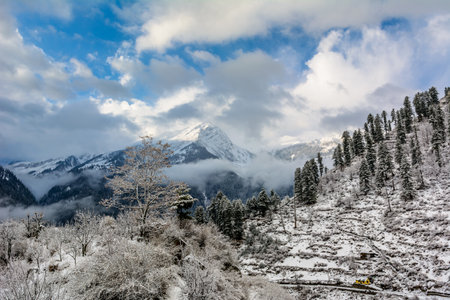 Beautiful winter landscape of Himalayas mountain with snow covered trees, blue sky and clouds.の写真素材