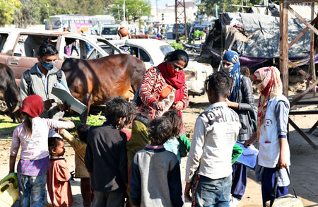 Beawar, Rajasthan, India, Feb. 01, 2021: An Anganwadi health worker administers polio vaccine drops to a child at a slum area during Pulse Polio eradication program in Beawar. Photo: Sumit Saraswatのeditorial素材