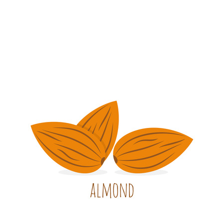 Almond icon nut. Vector illustrationon on white background.のイラスト素材
