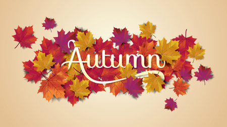 Autumn background layout typography decorate with leaves for greeting promo poster or web banner.Vector illustration template.