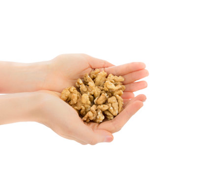 Walnutsの写真素材