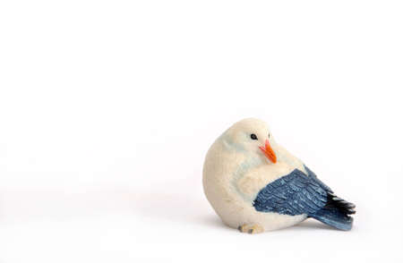 seagull restingの写真素材