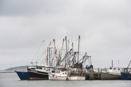 Fishing boats are gathered in Wellfleet Harbor, Massachusetts