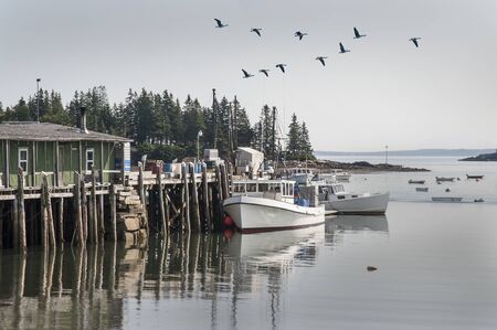 Canadian Geese fly over Lobster boats docked in Owls Head, Maineの写真素材