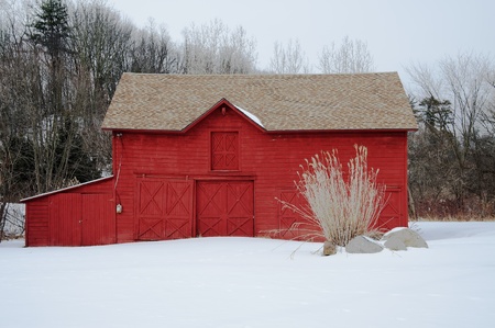 Pampas grass accents a beautiful red barnの写真素材