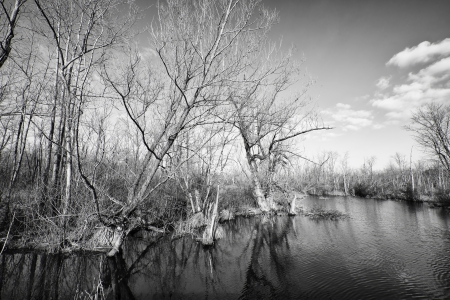 The outlet of Ballston Lake forms a colorful autumn marsh setting の写真素材