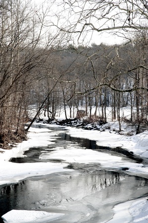 Snow covered stream in rural Princetown, New Yorkの写真素材