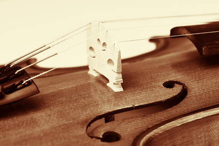 Violin bridge, closeup of a violin in vintage styleの写真素材