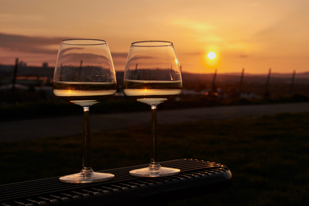 Two wine glasses in a sunset in a vineyard of Mainz-Hechtsheimの写真素材
