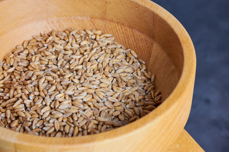 spelt grains in a flour mill, macro photoの写真素材