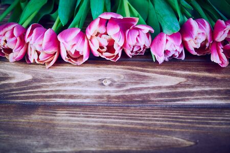 at the top of the photo a row of pink double tulips, copy space on wooden backgroundの写真素材