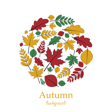 Set of autumn leaves located on a circleのイラスト素材