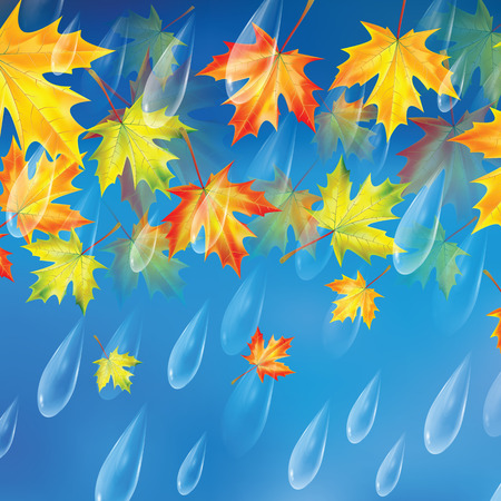 Autumn background.Background with rain drops and maple leaves.Transparent drops of rain on a blue backgroundのイラスト素材