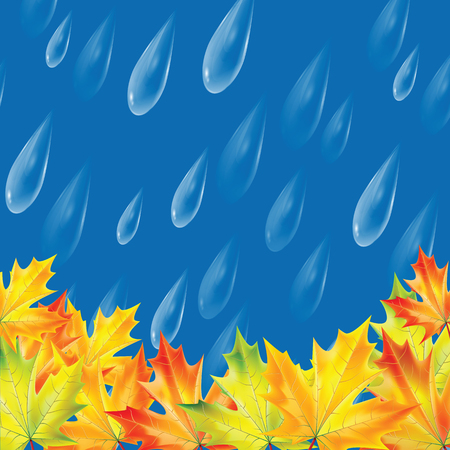 Autumn background.Background with rain drops and maple leaves.Transparent drops of rain on a blue backgroundのイラスト素材