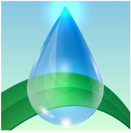 green plant and a drop of waterのイラスト素材