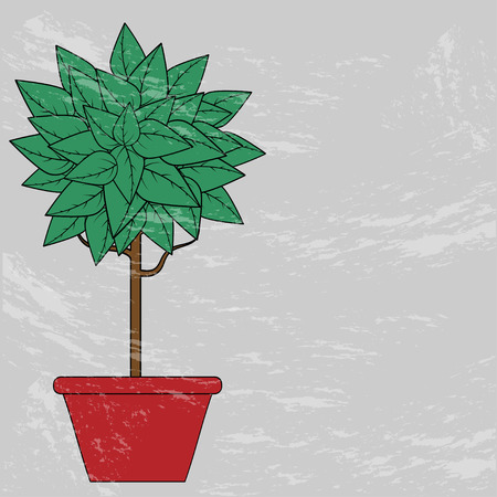 tree with green leaves in a red clay pot on a gray backgroundのイラスト素材