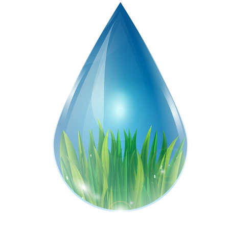 green grass in a drop of waterのイラスト素材