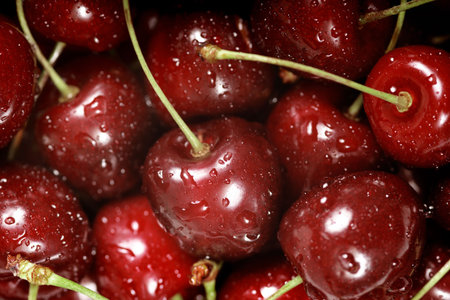 Macro image of ripe picked cherries.