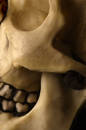 Abstract image of a human skull.