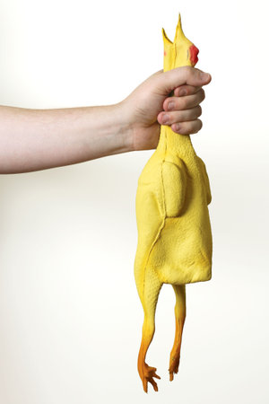 Image of a rubber chicken being choked.  Metaphor for male self-gratification.の写真素材