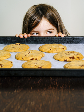 Photo of a young girl staring at a tray of warm chocolate chip cookies.の写真素材
