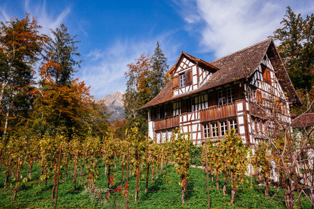 Ballenberg, Bern, Switzerland - September 10, 2020: Half-timbered historic building in Ballenberg, Swiss Open-Air Museum in Canton of Bern.のeditorial素材