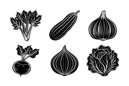 A premium collection of silhouette vector illustrations featuring Lettuce, Radish, Celery, Cucumber, Garlic, and Onion. Perfect for organic food designs, kitchen decor, and healthyのイラスト素材