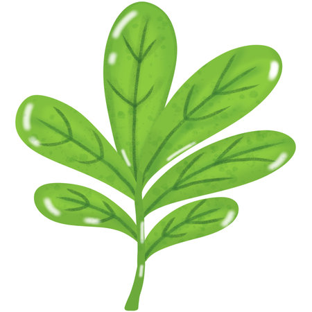 Illustration of a green leaf isolated on a white background - vectorのイラスト素材