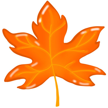Autumn maple leaf isolated on a white background. Vector illustration.のイラスト素材