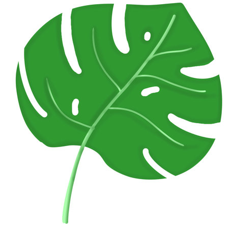 Monstera leaf icon. Realistic illustration of monstera leaf icon for web designのイラスト素材