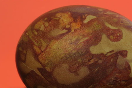 cropped shot of a single colored easteregg on orange background