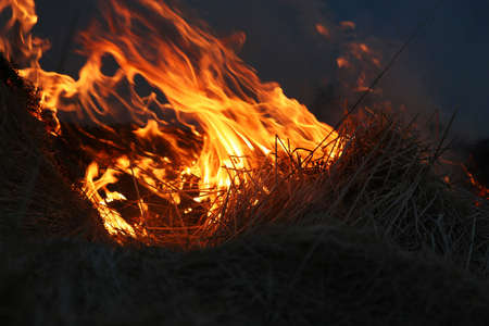 wild bushes on fire raging out of controlの写真素材