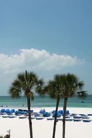 A tropical beach, with palmtrees, open water and white sandの写真素材