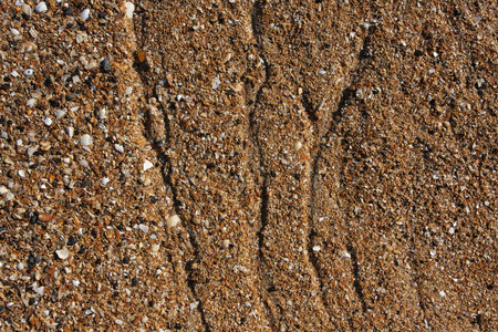 shell sand on the beach with water lines, great detail and texture