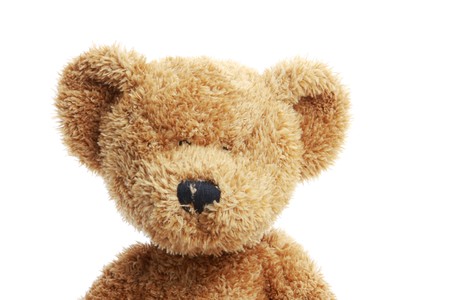 cropped shot of a stuffed teddy bear isolated on white shot in studioの写真素材
