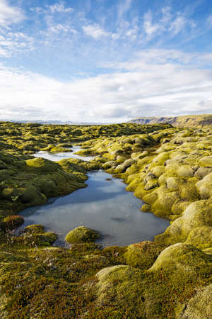 Moss grown lava field in southern Iceland, small stream flowing through itの写真素材