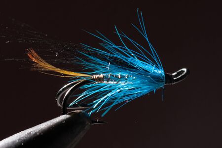 Blue and silver fly for fly fishing in a fly tying wiseの写真素材