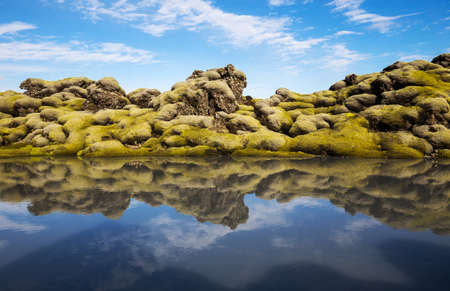 Moss grown lava reflected in a still pool of water with copy spaceの写真素材