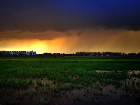 beautiful sunshineの素材